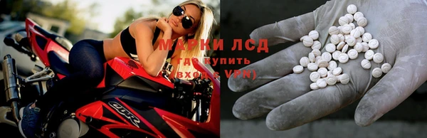 ГАЛЛЮЦИНОГЕННЫЕ ГРИБЫ Богородск