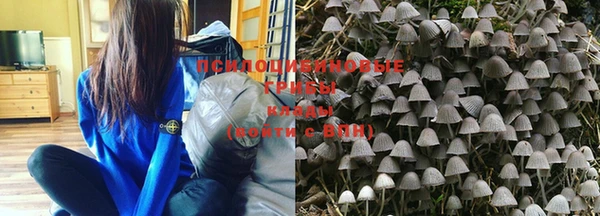 прущая мука Володарск