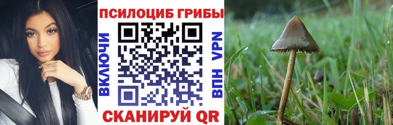 Псилоцибиновые грибы прущие грибы  МЕГА ONION  Вуктыл 
